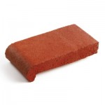 DenizlikNare8d918d1-e726-4025-9417-c90badc33b64_big