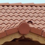 sistemikkiremitler_firafix_2