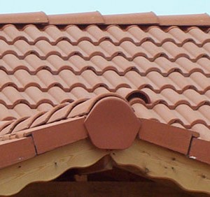 sistemikkiremitler_firafix_2