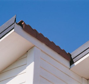 sistemikkiremitler_set_2