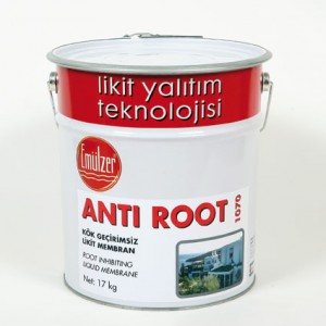 img_3381_antiroot
