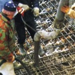 aaa082d2257ab65aecf61c2340e9c5b9_S